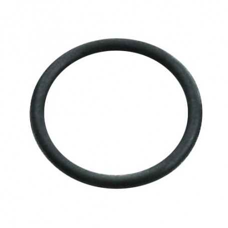 O-Ring Ø 18,3 x 2,4mm, SKS, 10156