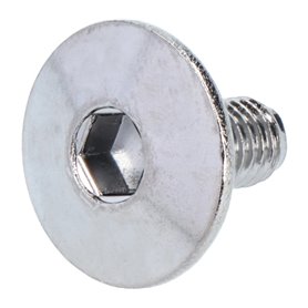 Shimano screw for caliper plates PD-9000 M5 x 10mm