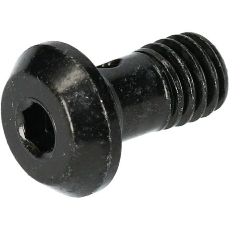 Shimano brake cable screw BR-M8100