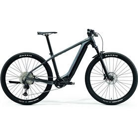 Merida eBIG.NINE 700 E-Bike Pedelec 2021 grey black frame size S (38 cm)