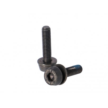 Campagnolo fastening screw rear brake 19 mm 2 pieces 10-14 mm black