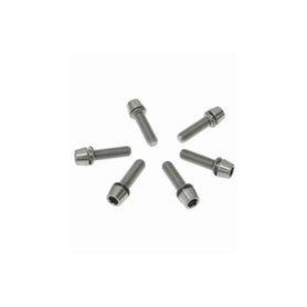 Ritchey Ahead NOK WCS 4-Axis replacement bolt Titan silver 6 pieces