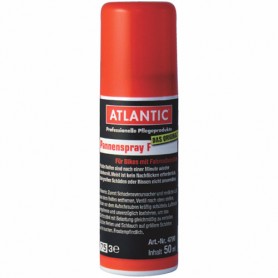 Atlantic Pannenspray Spraydose 50ml