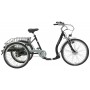 BBF shopping tricycle Bregenz E-Bike Ansmann 24/26 inch RH 48cm black