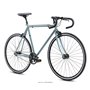 Fuji Feather Single Speed Urban Bike 2022 cool gray frame size 52cm