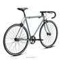 Fuji Feather Single Speed Urban Bike 2022 cool gray frame size 61cm