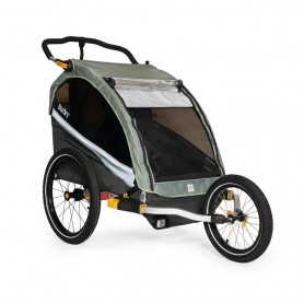 Burley Fahrrad-Kinder-Anhänger D`Lite X Double, sage green/ carcoal grey