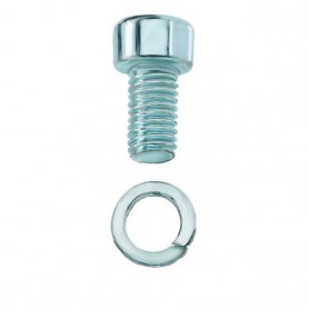 Screw with spring washer M 10 x 20 mm