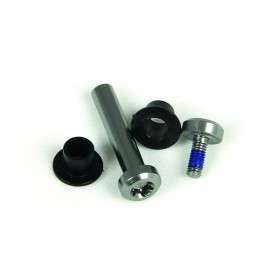 HAYES axle kit for Brake lever gold