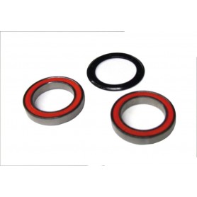 Groove ball bearing and Sealing ring (2 pieces) FC-RE012 - R1134820 for Ultra-Torque